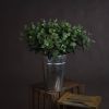 Cineraria Eucalyptus Spray
