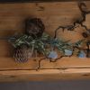 Eryngium Thistle
