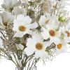 Cream Cosmos Spray