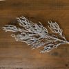 Snow Covered Branch