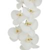 Tall White Butterfly Orchid Stem