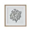 Atol Coral Art Mounted In Beaded Frame