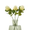 Cream Banksia Stem