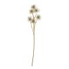Brown Xanthium Spray