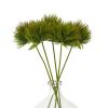 Green Moss Stem
