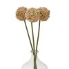 Pink Allium Stem