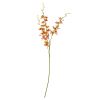 Orange Cymbidium Spray