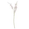 Lilac Cymbidium Spray