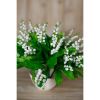 Lily Of The Valley Bunch