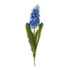 Blue Hyacinth Stem