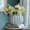 Lorenzo Rotund Fin Vase