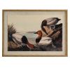 Flora & Fauna Collection Pochards On Linen In Beaded Frame