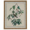 Flora & Fauna Collection Warblers On Linen In Beaded Frame