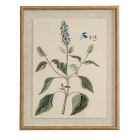 Flora & Fauna Collection Salvia On Linen In Beaded Frame