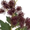 Purple French Meadow Spray