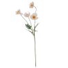 Cream Papaver Poppy Spray
