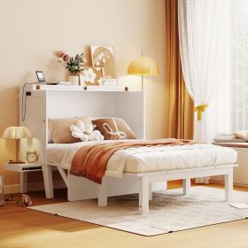 Full Size Murphy Bed with USB Port and removable Shelves on Each Side,White