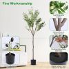 5.9FT Artificial Olive Tree Tall Fake Olive Plant Faux Potted Olive Tree with Lush Olive Branches and Fruits with Black Planter Pot for Modern Home Of