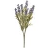 Lavender Spray