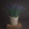 Lavender Spray