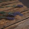 Lavender Spray