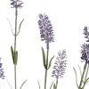 Lavender Spray