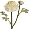Ranunculus Spray