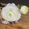 Ranunculus Spray