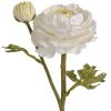 Ranunculus Spray