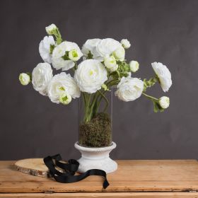 Ranunculus Spray (Option: White)
