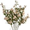 Wild Meadow Rose
