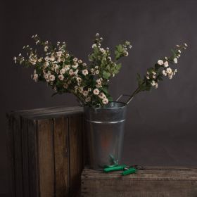 Wild Meadow Rose (Option: Cream)