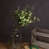 Wild Meadow Rose