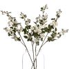 Wild Meadow Rose