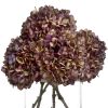 Autumn Hydrangea
