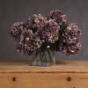 Autumn Hydrangea