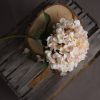 Autumn Hydrangea
