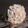 Autumn Hydrangea
