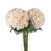 Autumn Hydrangea