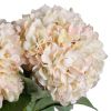 Autumn Hydrangea
