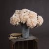 Autumn Hydrangea