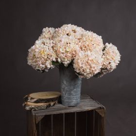 Autumn Hydrangea (Option: White)