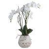 White Orchid In Pot