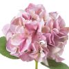 Shabby Single Hydrangea