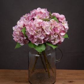 Shabby Single Hydrangea (Option: Pink)