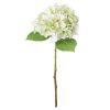 Shabby Single Hydrangea