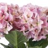 Shabby Hydrangea Bouquet
