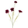 Cornflower Stem