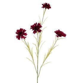 Cornflower Stem (Option: Burgundy)