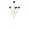 Cornflower Stem